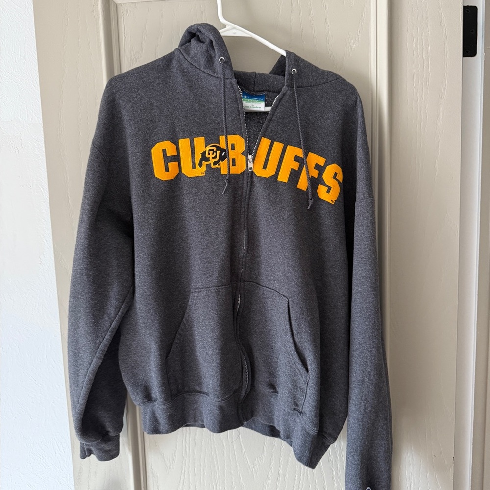 Champion Eco Fleece Hoodie in Gray and Gold